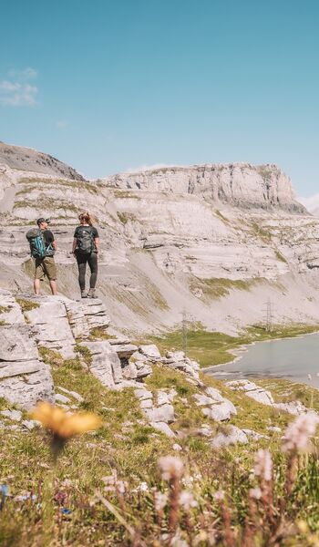 Wandern auf der Gemmi: zwei Personen auf Felsplatten über dem Daubensee, im Vordergrund Alpenblumen